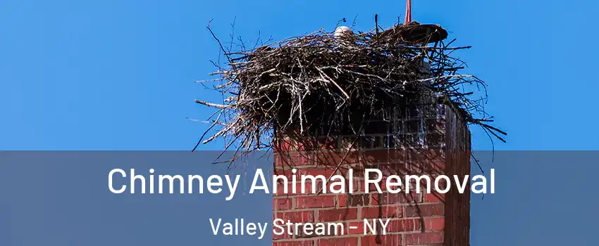 Chimney Animal Removal Valley Stream - NY
