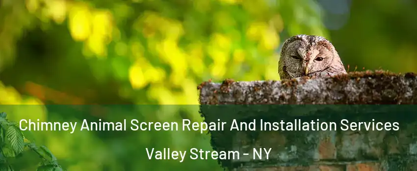 Chimney Animal Screen Repair And Installation Services Valley Stream - NY