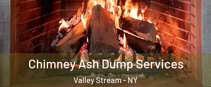  Chimney Ash Dump Services Valley Stream - NY