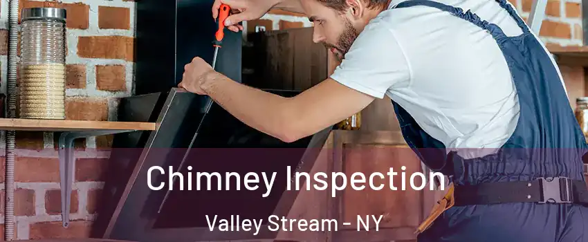  Chimney Inspection Valley Stream - NY