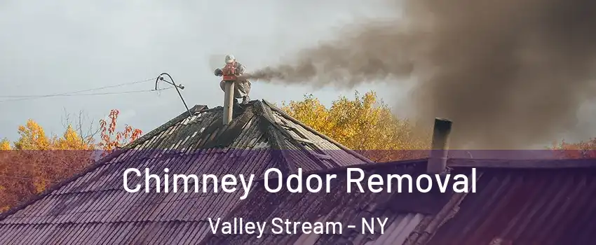  Chimney Odor Removal Valley Stream - NY