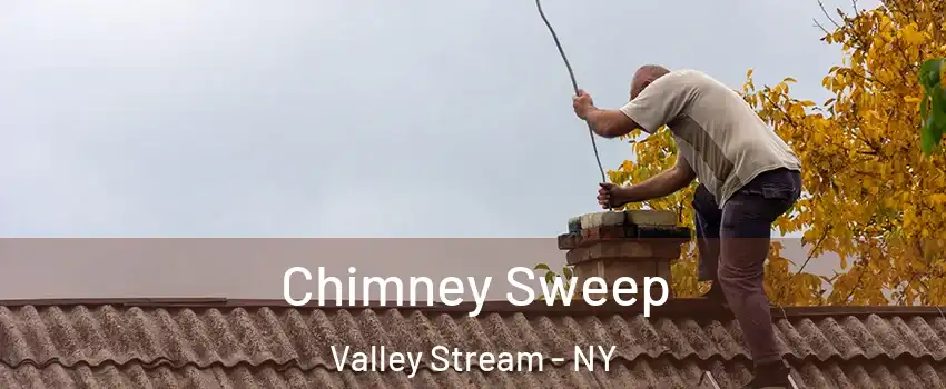  Chimney Sweep Valley Stream - NY