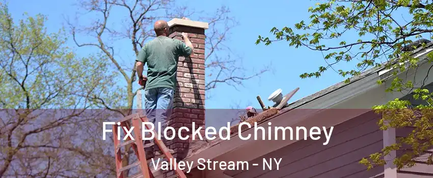  Fix Blocked Chimney Valley Stream - NY