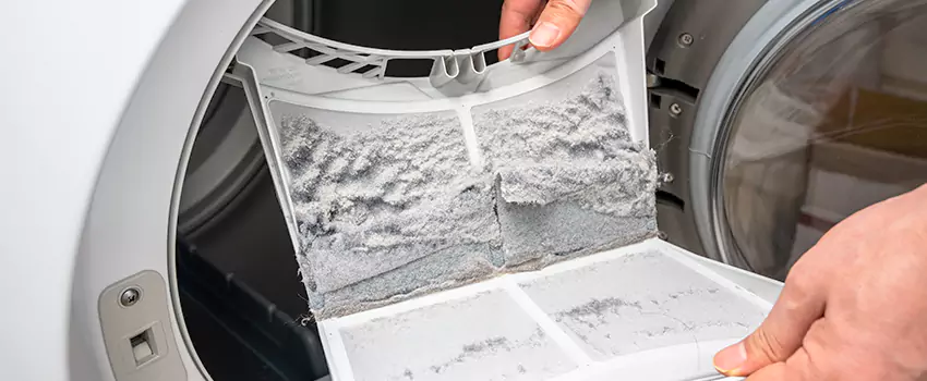 Best Dryer Lint Removal Company in Valley Stream, New York