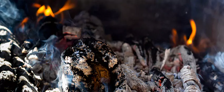 Creosote Removal Experts in Valley Stream, NY