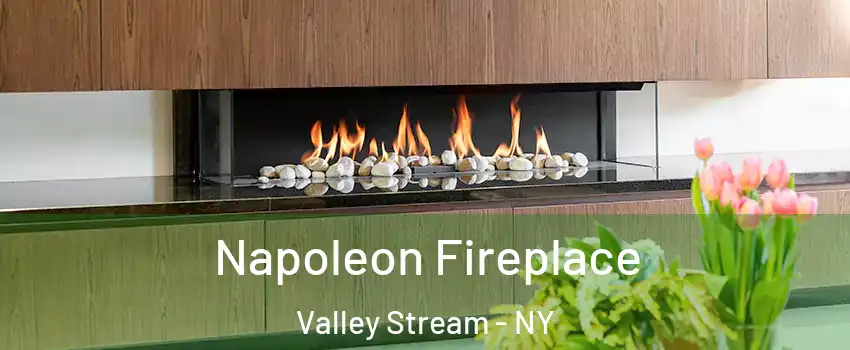  Napoleon Fireplace Valley Stream - NY